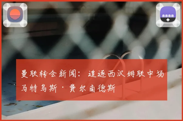 曼联转会新闻：追逐西汉姆联中场马特乌斯·费尔南德斯